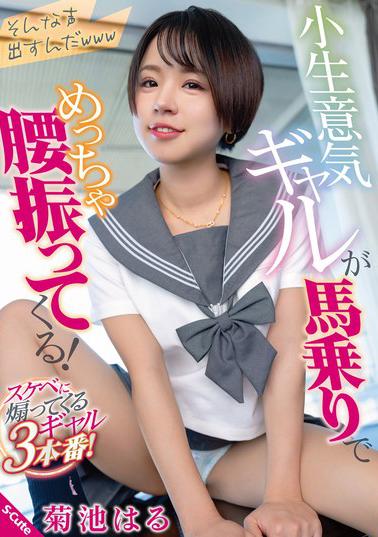 SQTE-555 cover